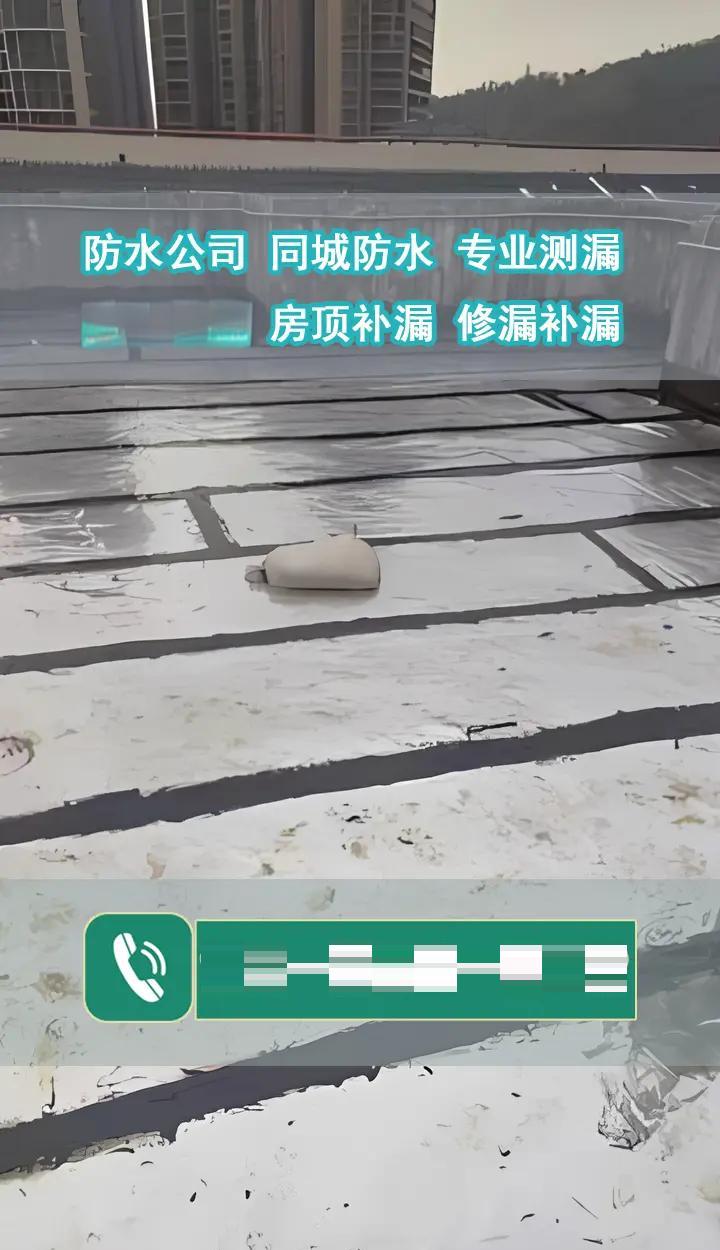来宾市兴宾区卫生间防水补漏服务指南